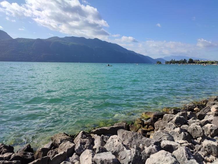 Le Lamartine, Vue Magnifique Face Au Lac Du Bourget إيكس ليه با المظهر الخارجي الصورة